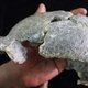 The DAN5 female cranium of H. erectus.